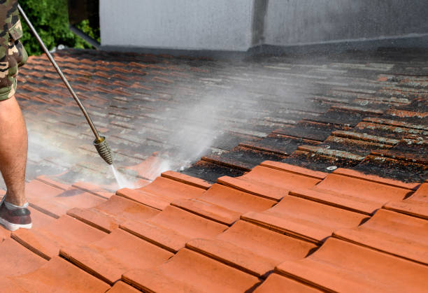 Best House Pressure Washing  in Shingle Springs, CA