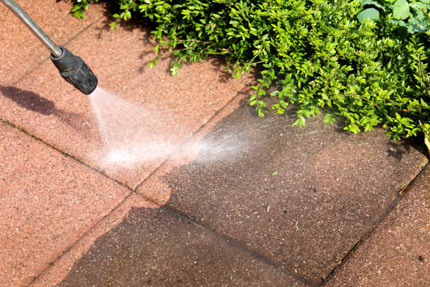 Best Residential Pressure Washing Services  in Shingle Springs, CA